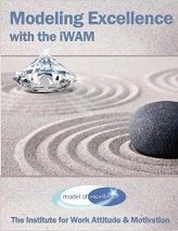 Modeling Excellence with the iWAM cover